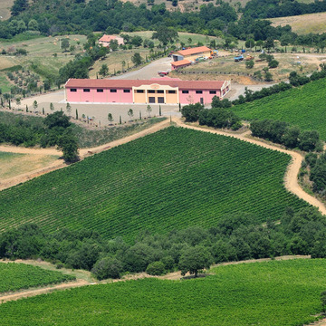 Scansano (Grosseto)